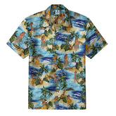 Tribute to the Classic-Island Party