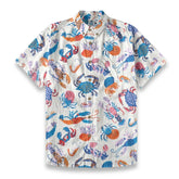 Colorful sea creatures