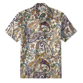 The Plamix paisley pattern