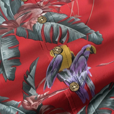 Salute to the classic-Paradise Jungle Bird