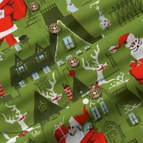 Green Christmas Secret