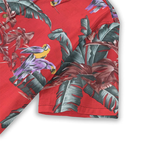 Salute to the classic-Paradise Jungle Bird