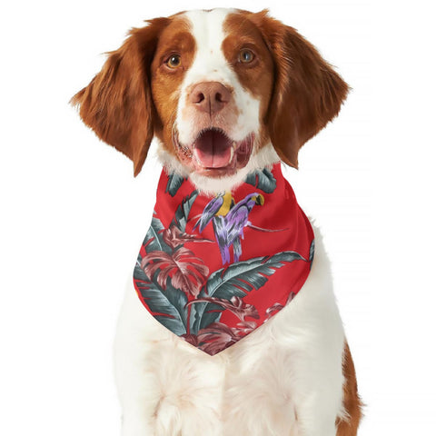 Tribute to the classics - the same Paradise Jungle Bird dog scarf