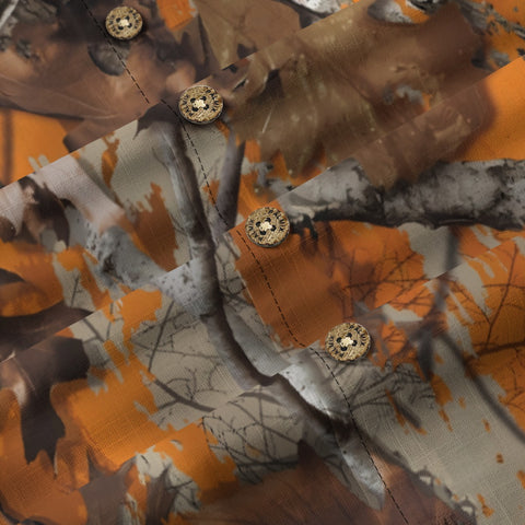 The Secret Land of Fallen Leaves