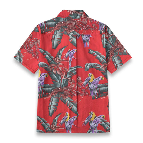 Salute to the classic-Paradise Jungle Bird