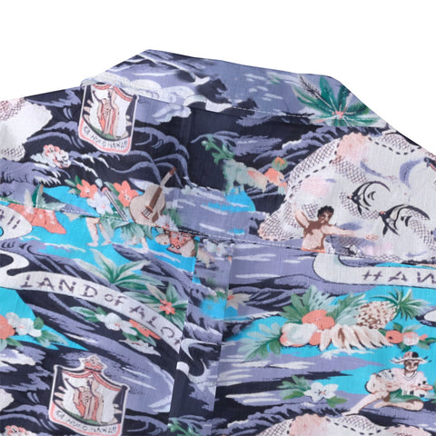 Hawaiian Humanities Picture Scroll