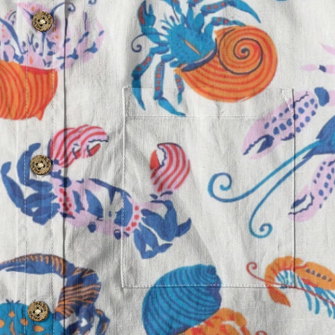 Colorful sea creatures