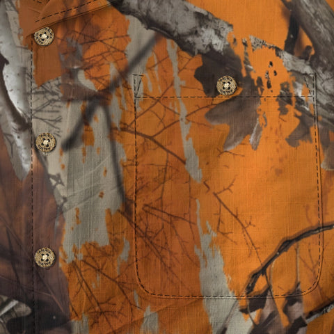 The Secret Land of Fallen Leaves