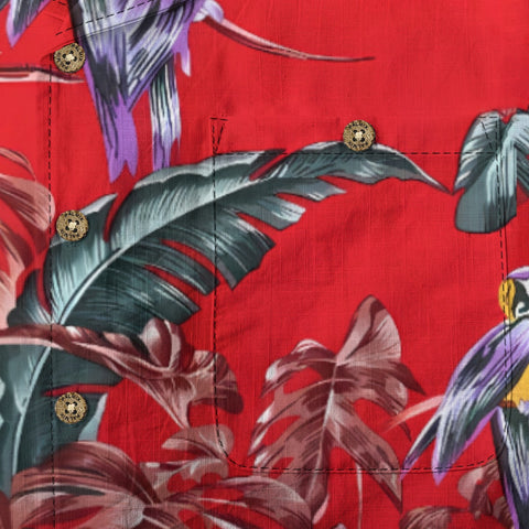 Salute to the classic-Paradise Jungle Bird