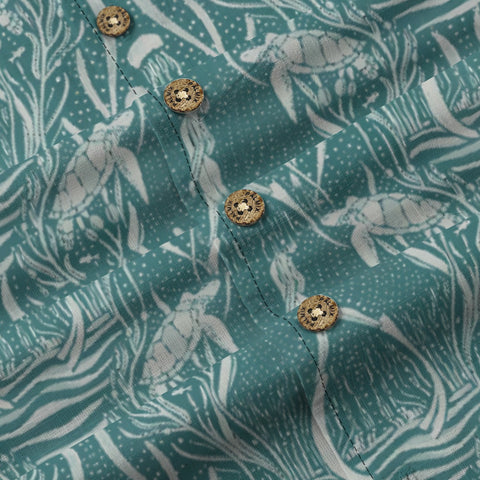 Turtles and mermaids