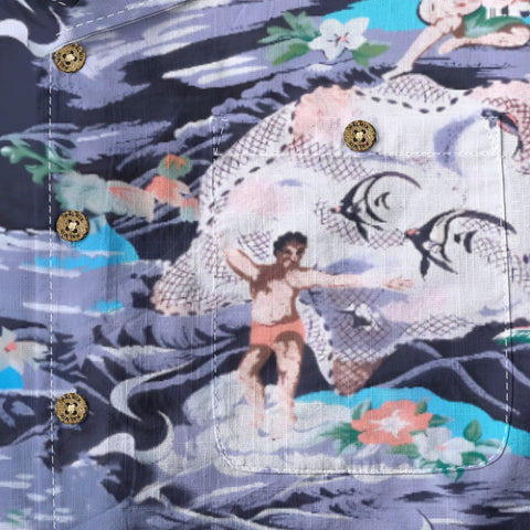 Hawaiian Humanities Picture Scroll