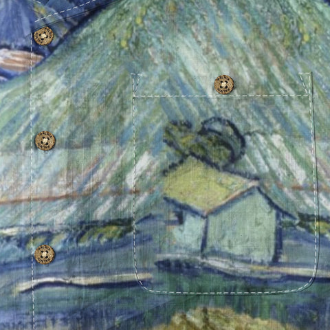 Van Gogh's oil painting world