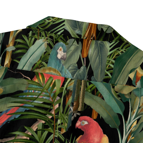 paradise jungle bird