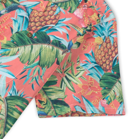 Salute to the classic - Pineapple Jungle Bird Rhapsody