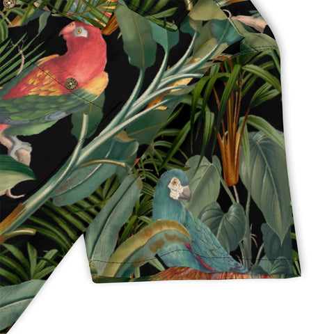 paradise jungle bird