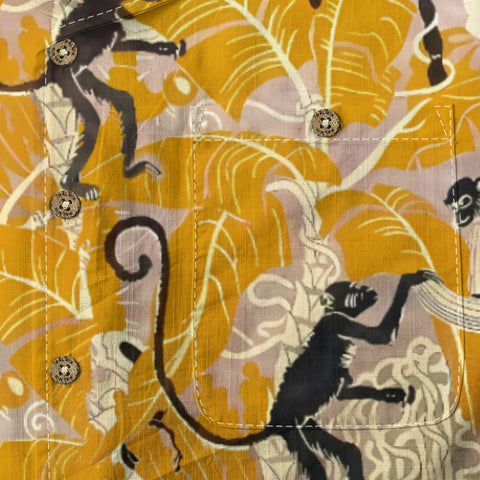 Tropical Monkey Rainforest