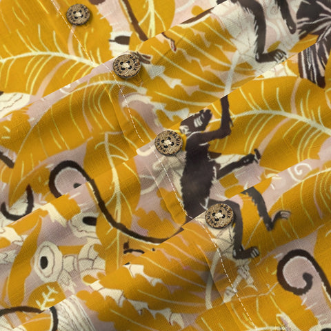 Tropical Monkey Rainforest