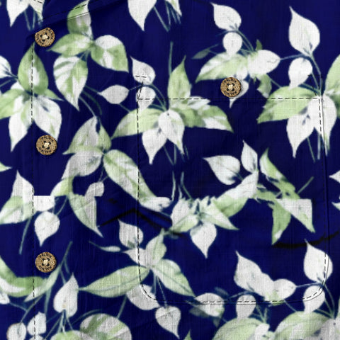 Tribute to the classic-Anthurium Flower Story
