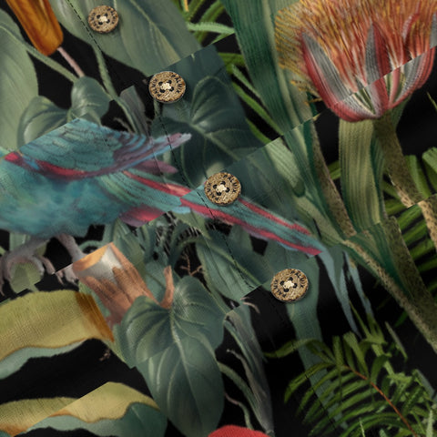 paradise jungle bird