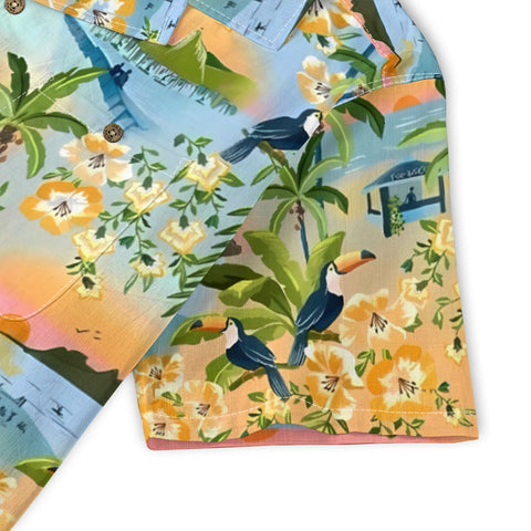 sunset paradise jungle bird