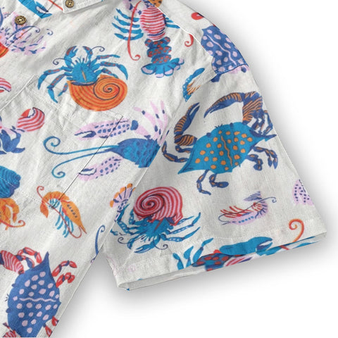 Colorful sea creatures