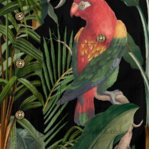 paradise jungle bird