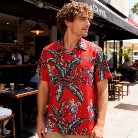 Salute to the classic-Paradise Jungle Bird