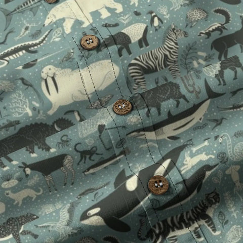 Ocean Dream Journey