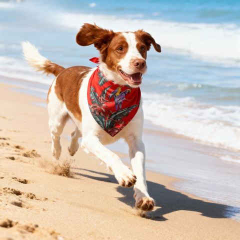 Tribute to the classics - the same Paradise Jungle Bird dog scarf